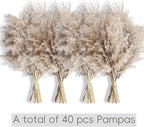 40 PCS Nature Pampas Grass Bouquet Decor - Image 3