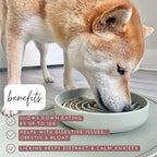 Should We Go? Slow Feeder for Dogs & Puppies, The Slowdown Bowl Silicone Slow - Image 3